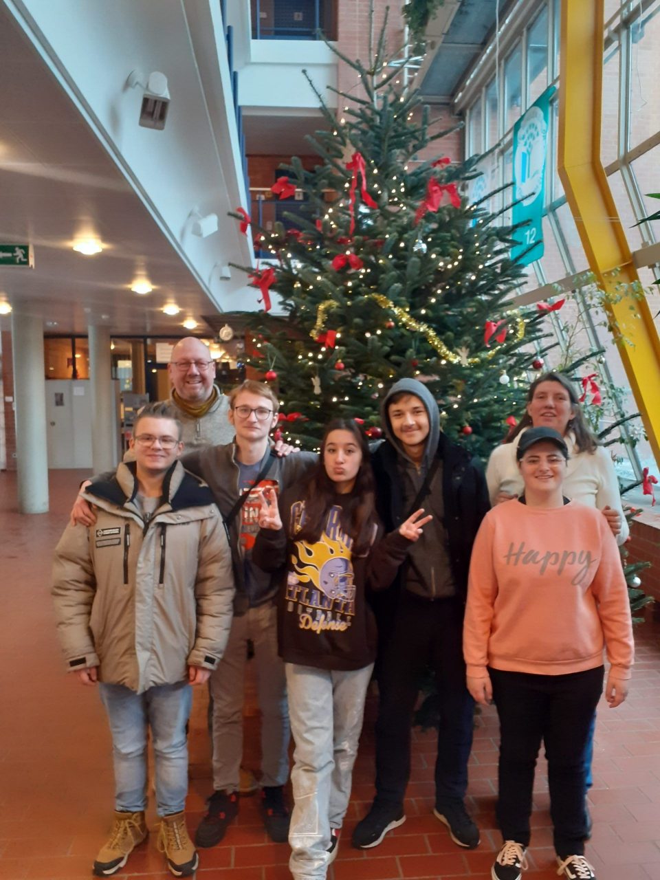 Unser diesjähriger Weihnachtsbaum