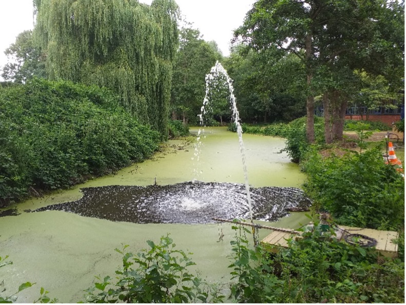 Schüler sorgen mit Wilo-Tauchpumpe für biologisches Gleichgewicht